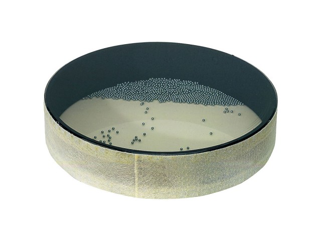 Oceanski boben Remo 12